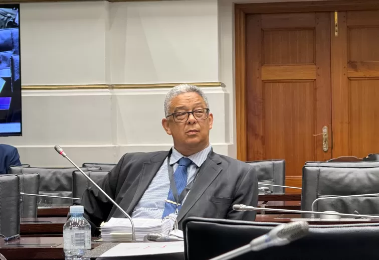 McBride withholds current employment details at Ad Hoc Committee