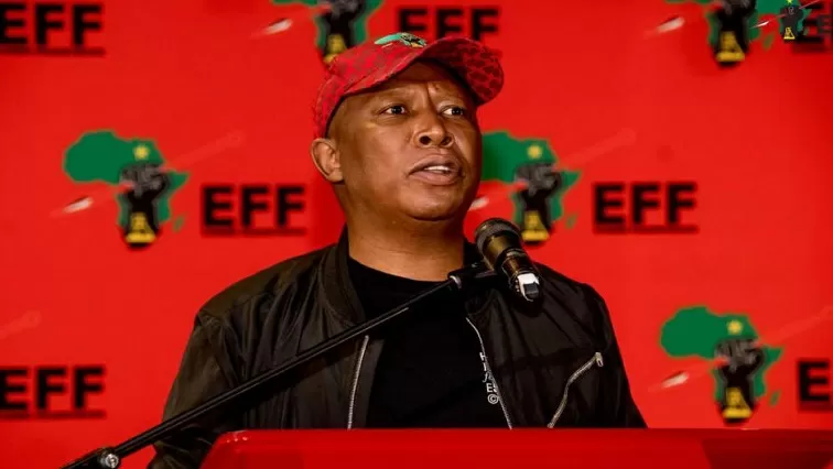 ‘Malema has slim chance of avoiding jail after firearm conviction’
