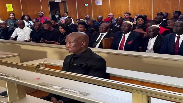 Malema firearm case postponed to April for closing arguments