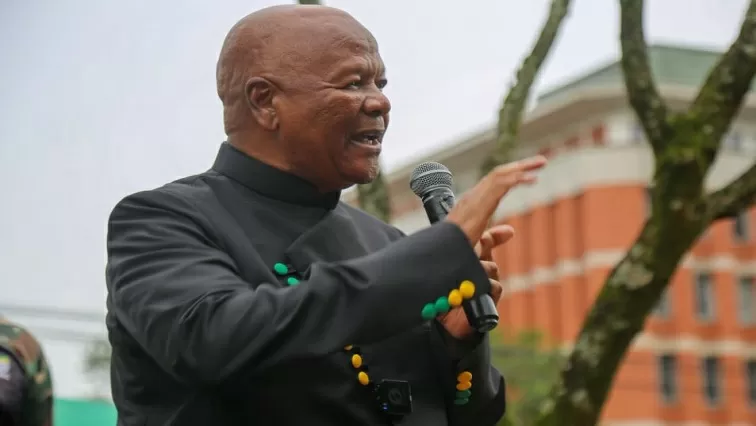 Local polls ‘a crucial referendum’ on the ANC’s renewal: Jeff Radebe