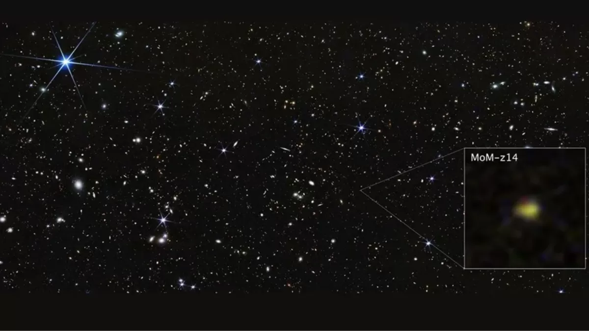 James Webb Telescope Discovers Most Distant Galaxy From Just 300 Million Years After the Big Bang