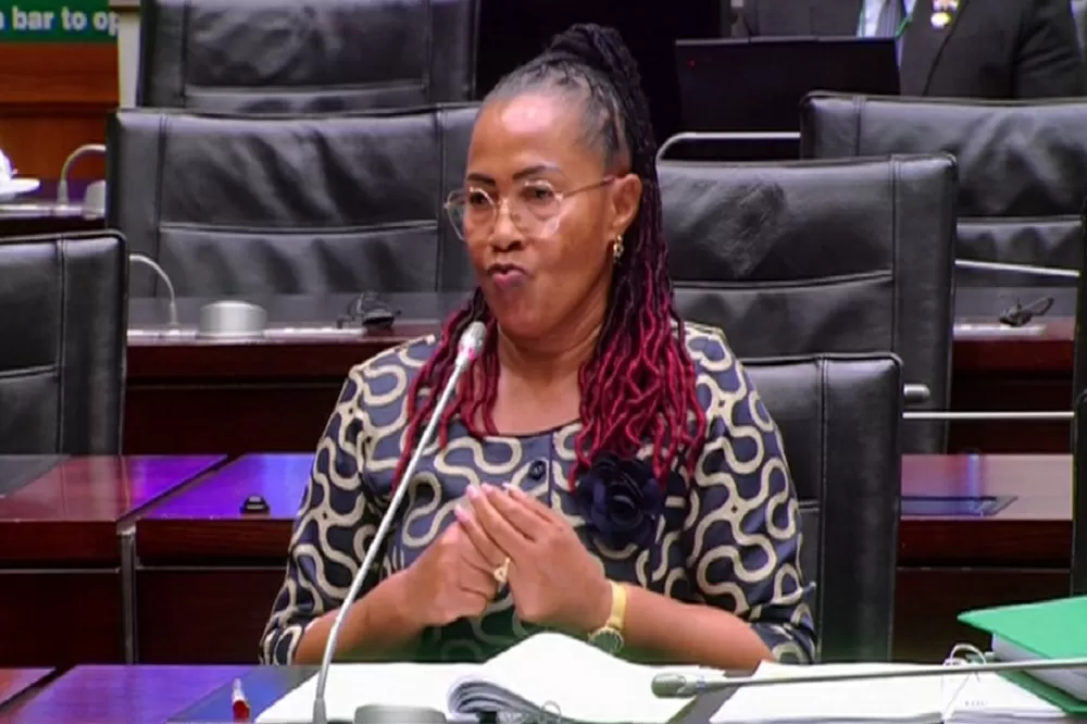 Ad Hoc Committee hears of Vuma’s early retirement offer