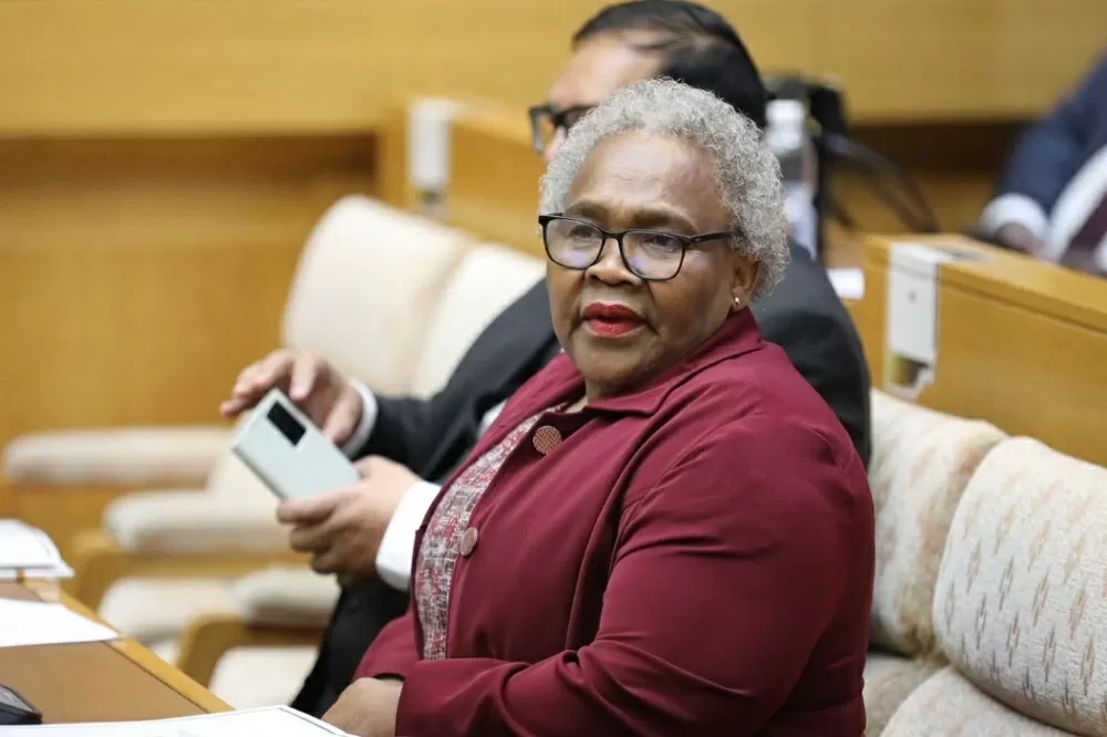 DA calls for probe into Minister Tolashe over luxury vehicle scandal